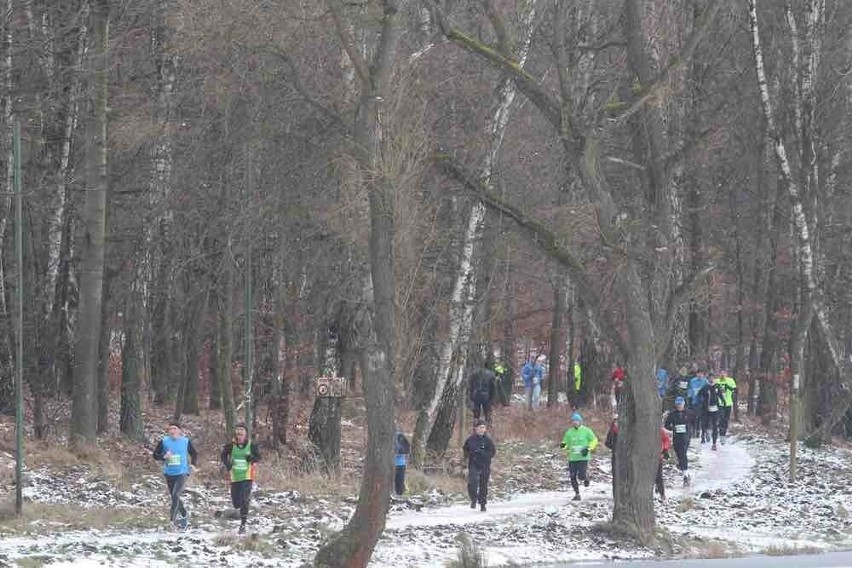 City Trail Katowice Giszowiec 4.1.2015