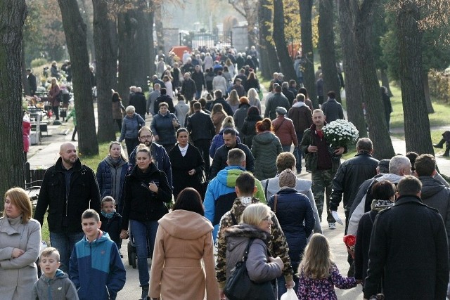 Zobacz na kolejnych na co zwracać uwagę podczas wizyty na cmentarzu w dniu wszystkich świętych we Wrocławiu - posługuj się myszką, klawiszami strzałek na klawiaturze lub gestami