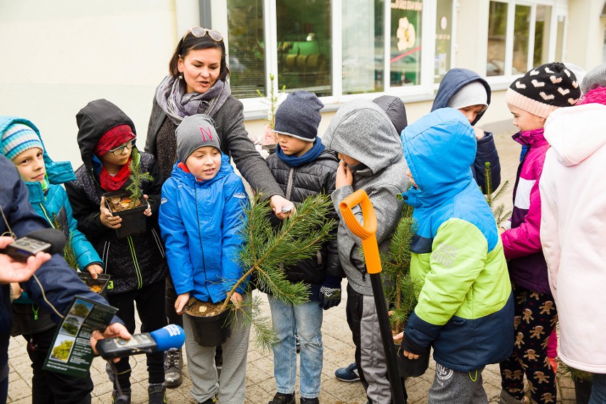 Społecznicy i uczniowie podstawówki sadzili wczoraj...