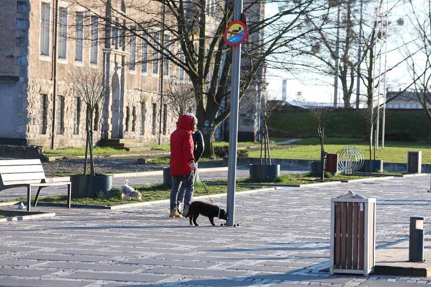 Szczecin. Prohibicja może na stałe zagościć na bulwarach. Taka decyzja czeka w czwartek miejskich radnych - 9.04.2020