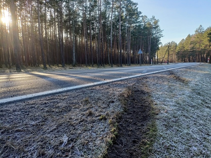 Na drodze krajowej nr 21, niedaleko Trzebielina, doszło do...