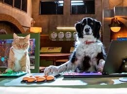 Skarżyskie kino Centrum zaprasza na filmy „Psy i koty 3. Łapa w łapę”, „Polot” i „Saint Maud”  (wideo, zdjęcia)