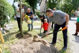 Lublin: Nowe drzewa posadzone. "Potrzebujemy ich bardziej niż nowych miejsc parkingowych". Zobacz