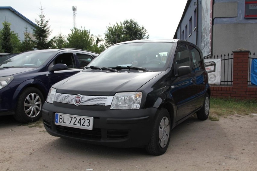 Fiat Panda, rok 2009, 1,1 benzyna, cena 8 400 zł