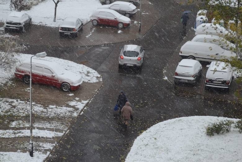 Pierwsze opady śniegu nie zapowiadają się w Łodzi obficie....