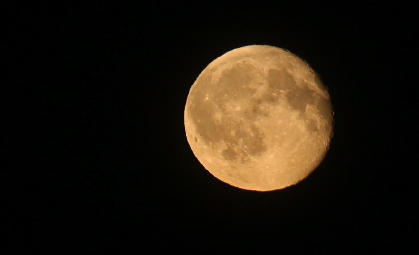 Pełnia Księżyca 2019. W piątek, 13 września wypada pełnia...