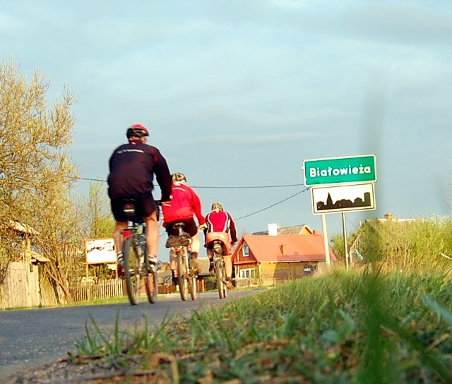 Wypożyczalni rowerów w Białowieży nie brakuje.