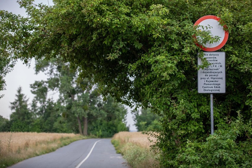 Okolice ul. Hipicznej uznawane są za jedno...