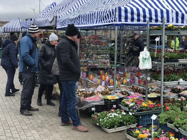 Drugi dzień targów ogrodniczych w Słupsku