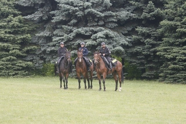 Konwencja PO w Chorzowie: Policja zabezpiecza Park Śląski