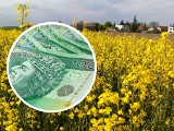 Ceny ziemi rolnej od ANR stabilniejsze