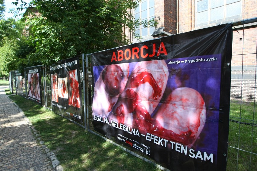 Antyaborcyjne plakaty we Wrocławiu