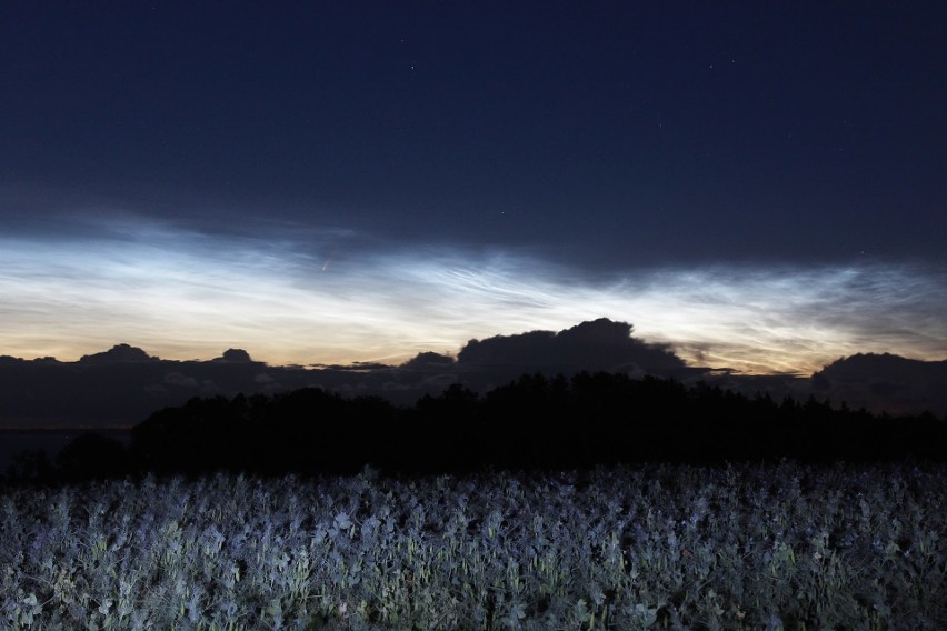 Kometa Neowise nad Zalewem Wiślanym, sfotografowana z...