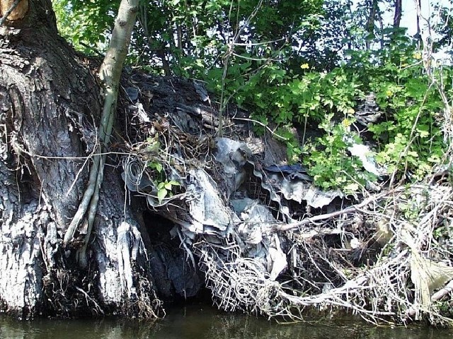 Brzeg "umocniony" siatką drucianą, eternitem, gruzem, folią i innym śmieciem