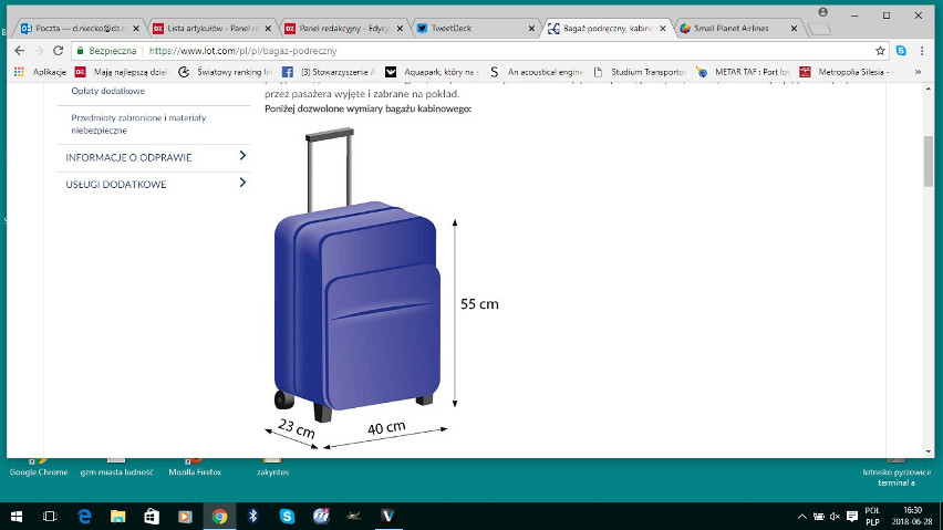 Bagaż podręczny i rejestrowany: Ryanair, Wizzair NOWE ZASADY LOT, Enter