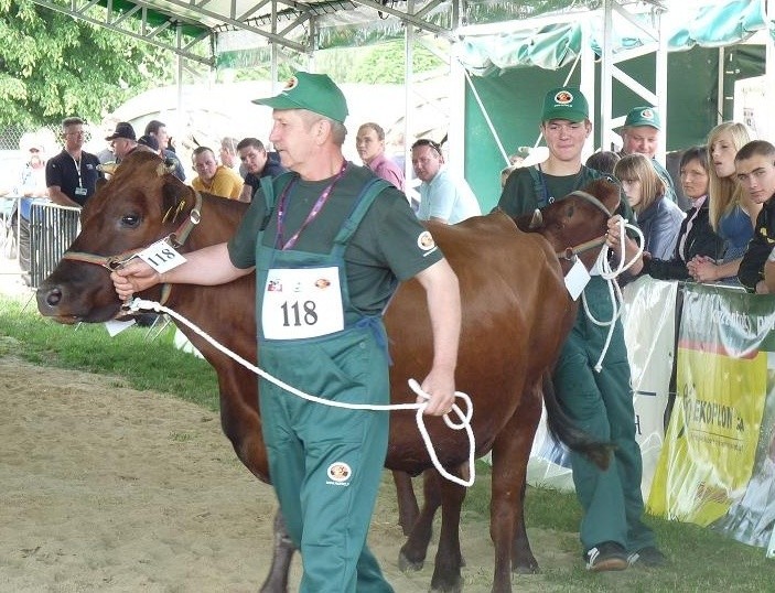 Święto mleka w Płoniawach-Bramurze