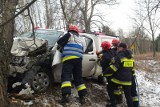 Sapieniec. Toyota uderzyła w drzewo. Kierowca zakleszczony w pojeździe (zdjęcia)