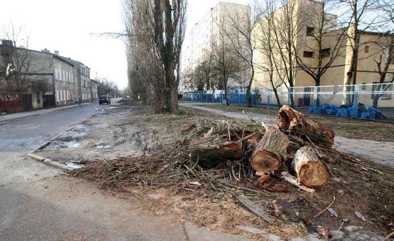 Wichura w Łodzi. Będzie wiało do poniedziałku