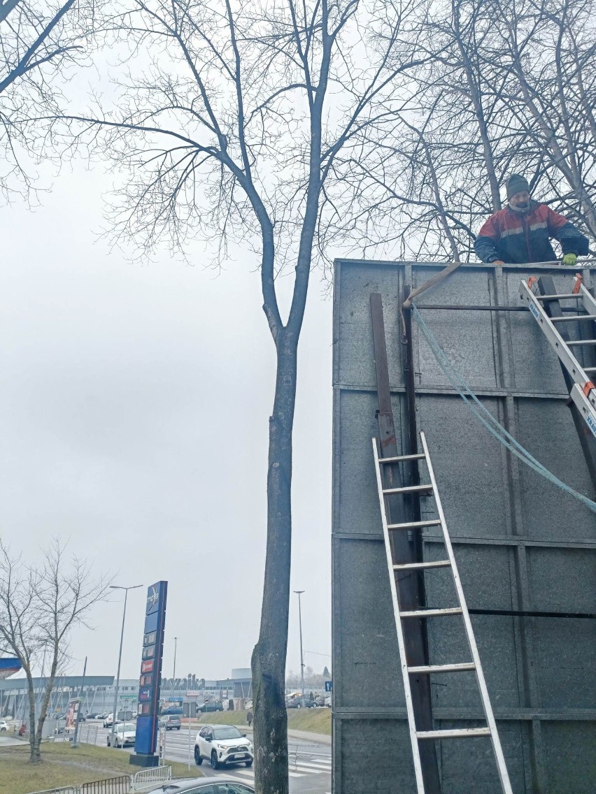 Przesunięcie bilbordów wymknęło się spod kontroli. Czy „ci, którzy haratają drzewa” zostaną ukarani? 