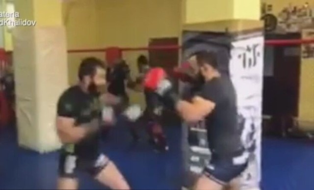 Walka Khalidov vs. Materla ONLINE. KSW 33 w internecie. Transmisja walki [WIDEO]