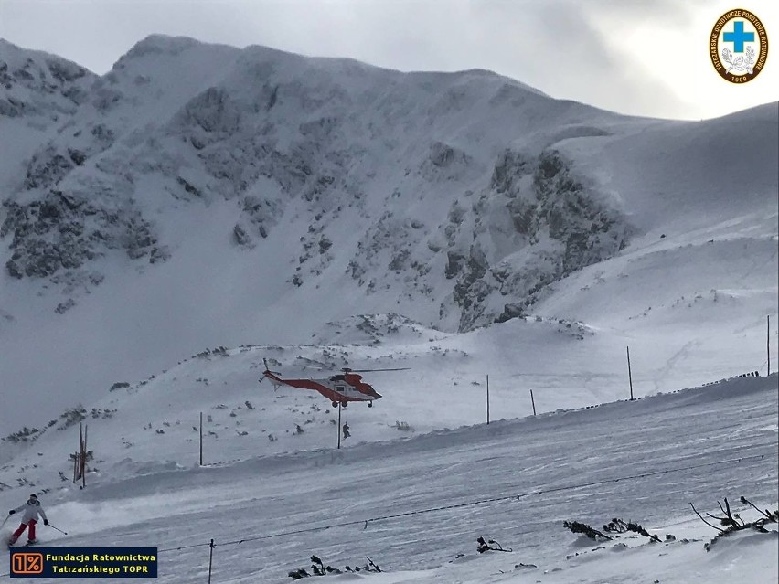 Tatry. Ratownicy TOPR szkolili swoje psy lawinowe [ZDJĘCIA]