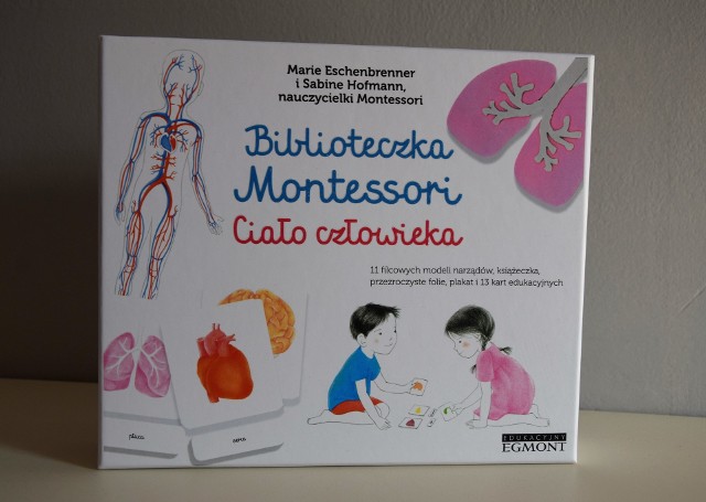 "Biblioteczka Montessori. Ciało Człowieka" - tak właśnie powinny poznawać świat nasze dzieci
