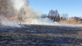  Plaga pożarów traw w powiecie skarżyskim. Wiemy, w których gminach najwięcej, a w których jest najmniej