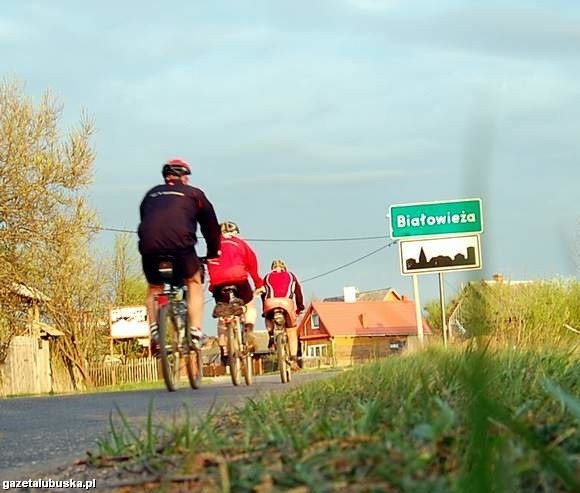 Wypożyczalni rowerów w Białowieży nie brakuje (fot. Aleksandra Łuczyńska)