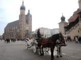 Górale bronią krakowskich dorożek
