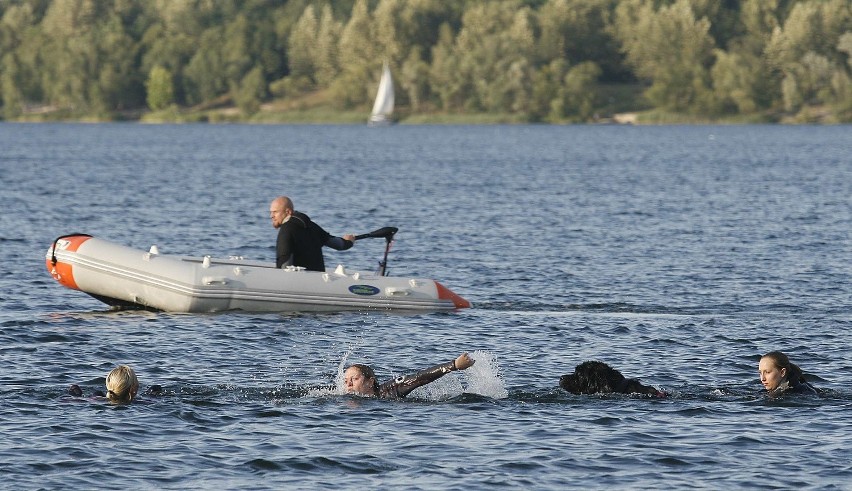 Psy ratownicze ćwiczą na Pogorii III w Dąbrowie Górniczej