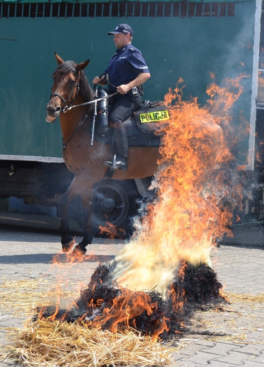 Święto Policji Będzin 2014