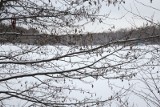 Piękna zima w Dolinie Trzech Stawów w Katowicach. Zobacz zdjęcia 