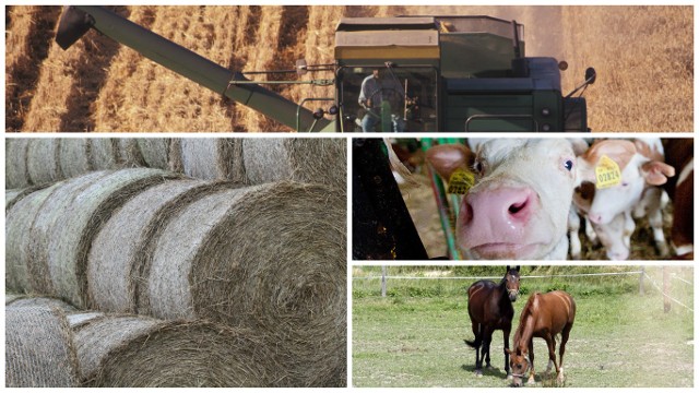 Dotychczas w konkursie "Bezpieczne Gospodarstwo Rolne" rywalizowało 16094 indywidualnych gospodarstw rolnych