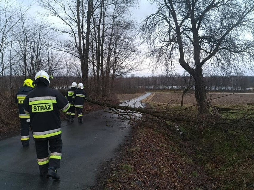 4.02.2021 Strażacy usuwali drzewo, które runęło na drogę we...