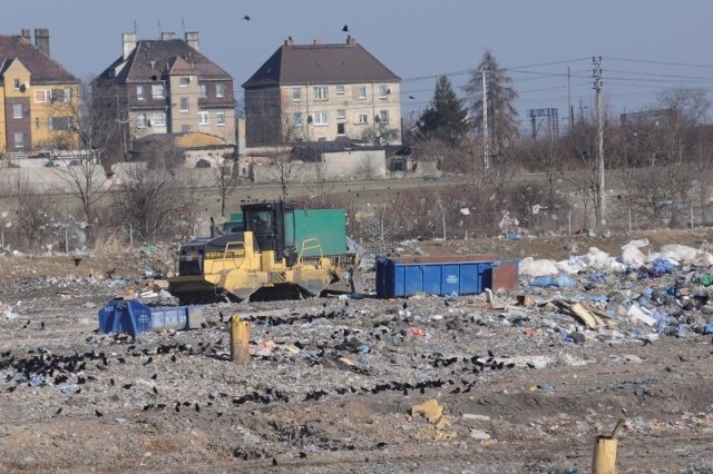 Wysypisko śmieci w Opolu.