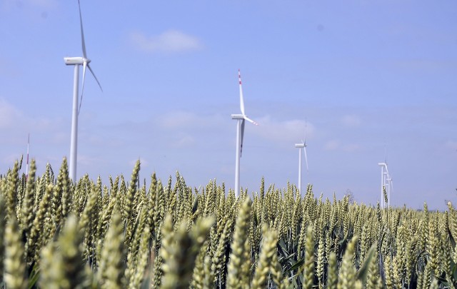 W gminie Radłów miało stanąć 15 wiatraków, ale po zmianie prawa możliwa byłaby budowa tylko 2-3 turbin. Taka inwestycja nikomu się nie opłaca.