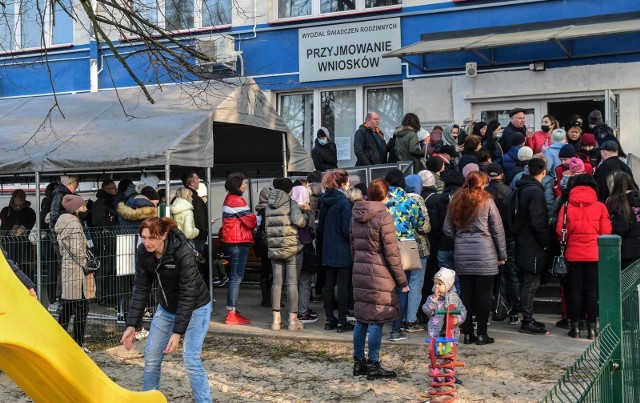Takie tłumy do rejestracji numeru PESEL były tylko na początku. W Bydgoszczy wydano na razie niecałe 9 tysięcy numerów PESEL dla obywateli Ukrainy.