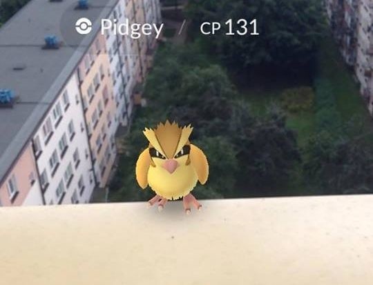 Pokemon Go zyskuje z każdym dniem coraz większą popularność. Aplikacja Pokemon Go zmusza ludzi do wyjścia na miasto i szukania pociesznych stworków znanych z gier i bajek Pokemon.