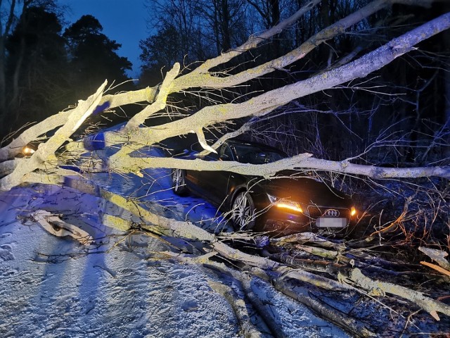 W czwartek, 20 stycznia na skutek silnego wiatru drzewo przewróciło się na samochód. Do zdarzenia doszło w Zakrzewie w gminie Kłecko.Czytaj dalej -->