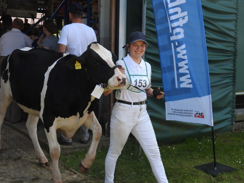 Szepietowo. Regionalna Wystawa Zwierząt Hodowlanych i Dni z Doradztwem Rolniczym 2022. W sobotę na targach były tłumy [25.06.2022]