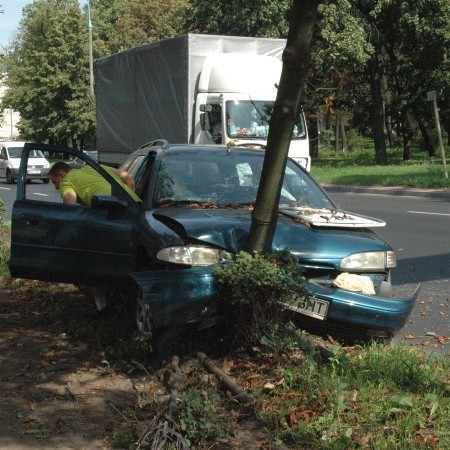 Przejazd przez miasto dla niektórych kierowców kończy się właśnie tak - na drzewie. Ten kierowca zjeżdżał z ronda właśnie w ul. Obrońców Pokoju.