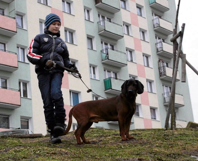 Podczas spaceru z psem należy zachować czujność