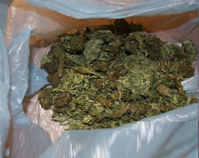 Białostoczanie przewozili 150 gram marihuany