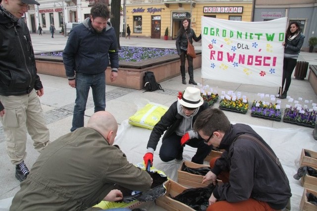 Happening polegał na sadzeniu kwiatów.