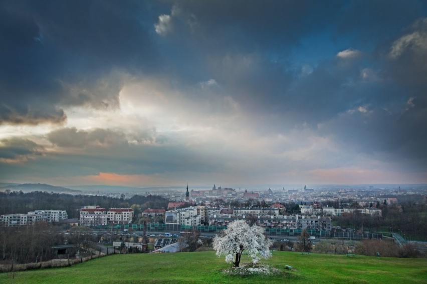 EkoMałopolska – nowy program na rzecz ochrony powietrza i środowiska naturalnego