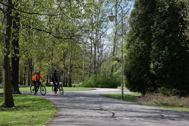 Park Kościuszki w Katowicach