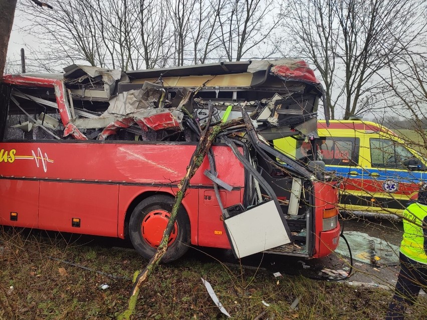 Wypadek autobusu szkolnego pod Ostrorogiem. Pojazd uderzył w drzewo. 70-letni kierowca był trzeźwy