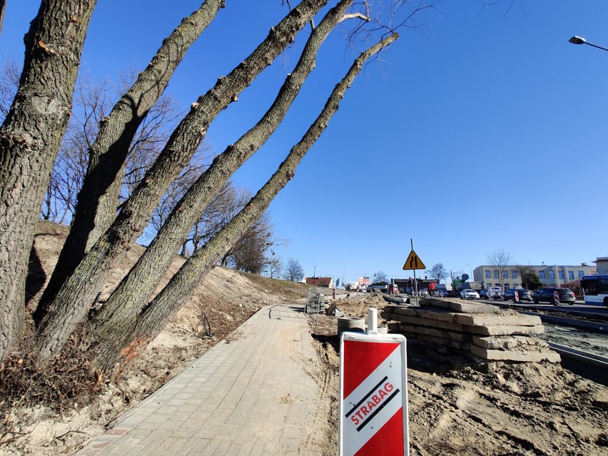 Mieszkańcy Obłuża obawiają się pochylonego drzewa przy ul. Kwiatkowskiego