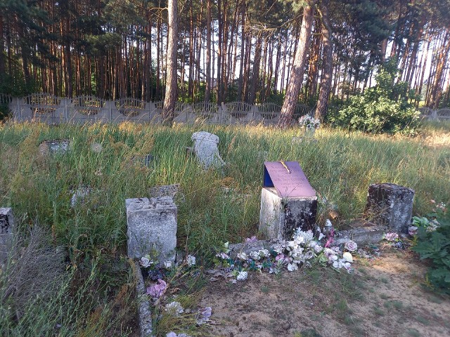 Członkowie Stowarzyszenie Inicjatyw Ziemi Chełmińskiej uporządkowali lapidarium cmentarza ewangelickiego dla wsi Górne Wymiary, obecnie położonego na cmentarzu parafialnym w Kolnie