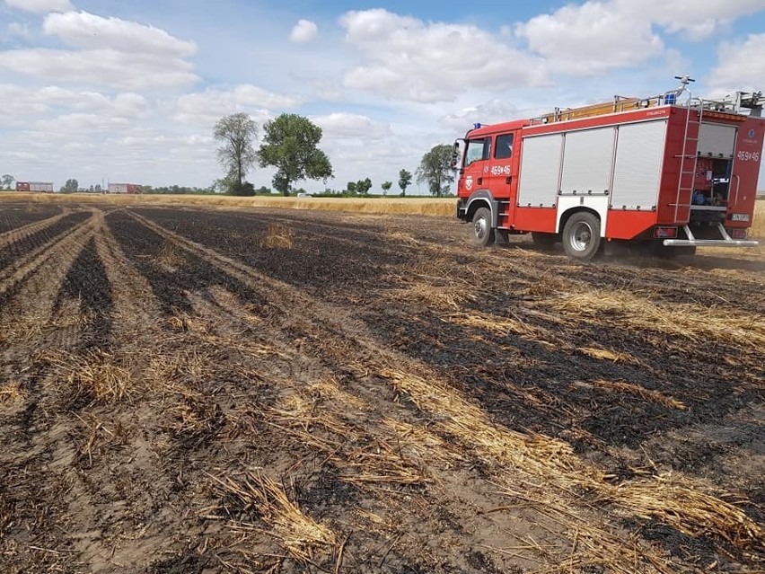 Dziś (4 lipca) w Kraszycach (gmina Kruszwica) wybuchł pożar....